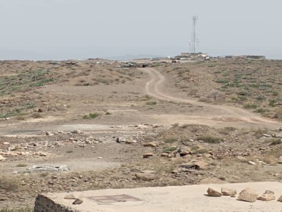 حياتنا