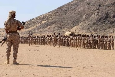 تقارير