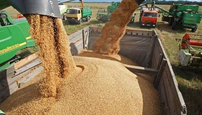 انفراجة مؤقتة.. روسيا تمنح لبنان 35 ألف طن من القمح والوقود
