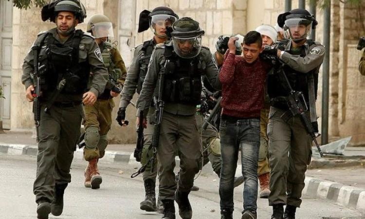 الاحتلال يواصل اعتقال الفلسطينيين