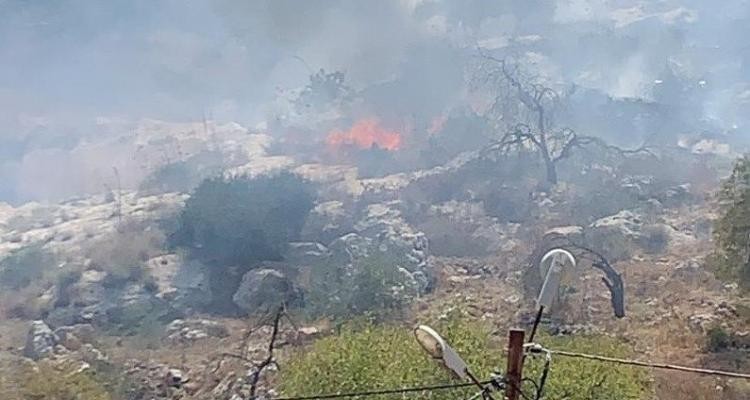مستوطنون إسرائيليون يحرقون محاصيل زراعية شمال رام الله